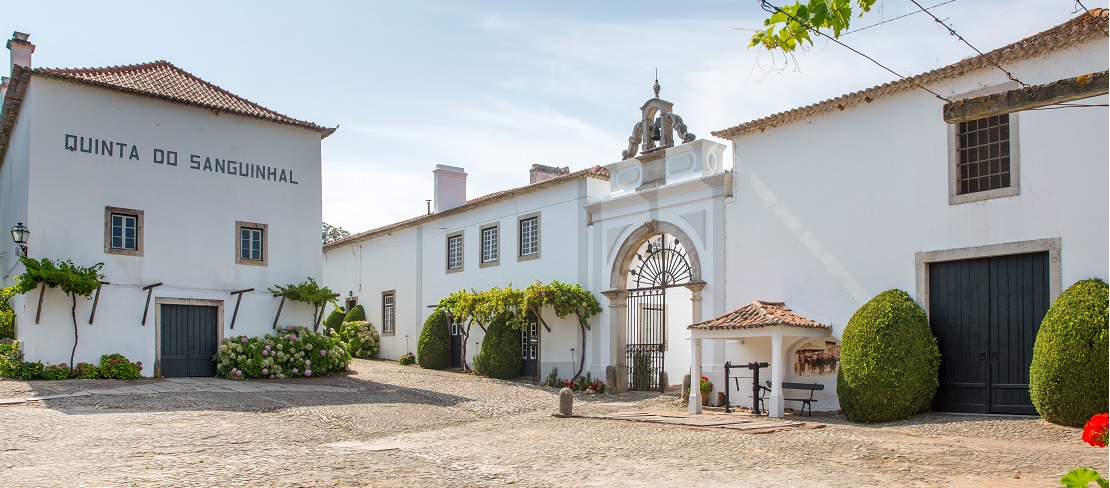 Visita guiada com prova de vinho com refeição - Quinta Sanguinhal