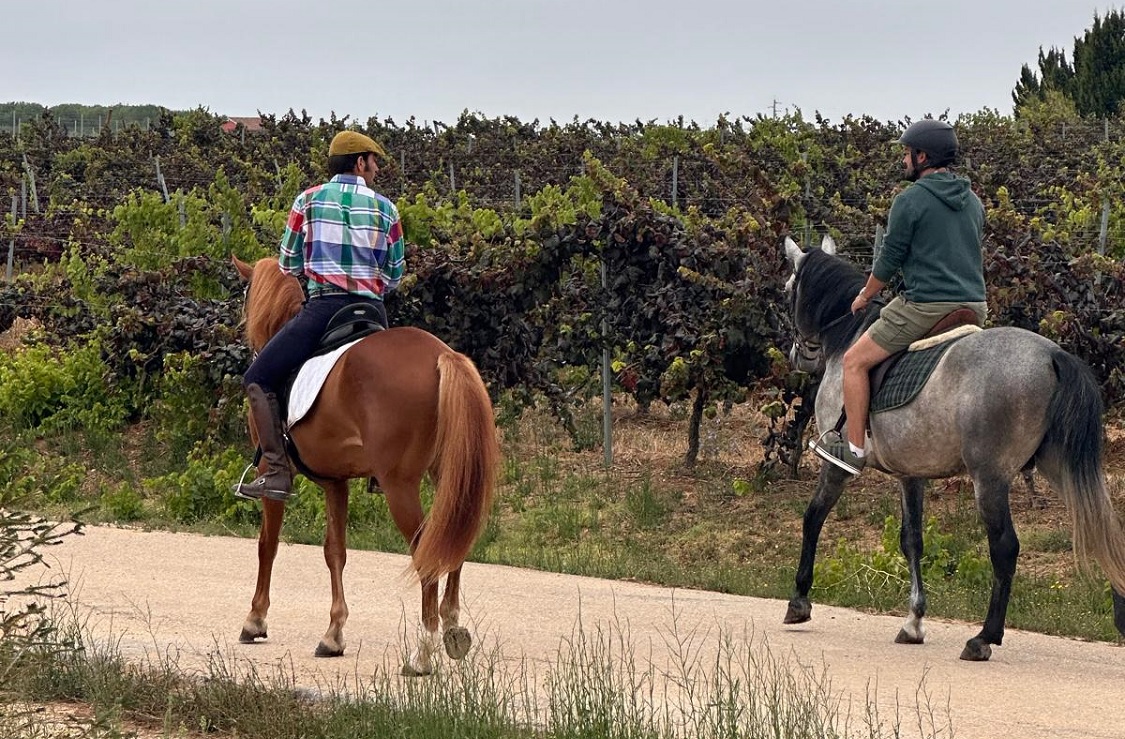 Passeio a cavalo com Visita à adega e caves com prova de vinhos - Quinta do Sampayo