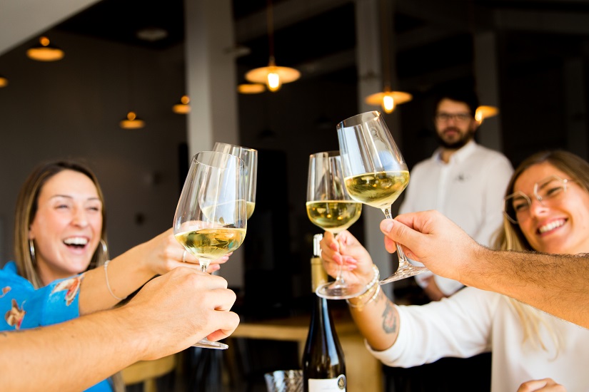 Visita a casta autóctone Antão Vaz com prova de vinho  - Adega Vidigueira