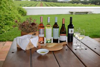 Percorra Portugal - João Portugal Ramos