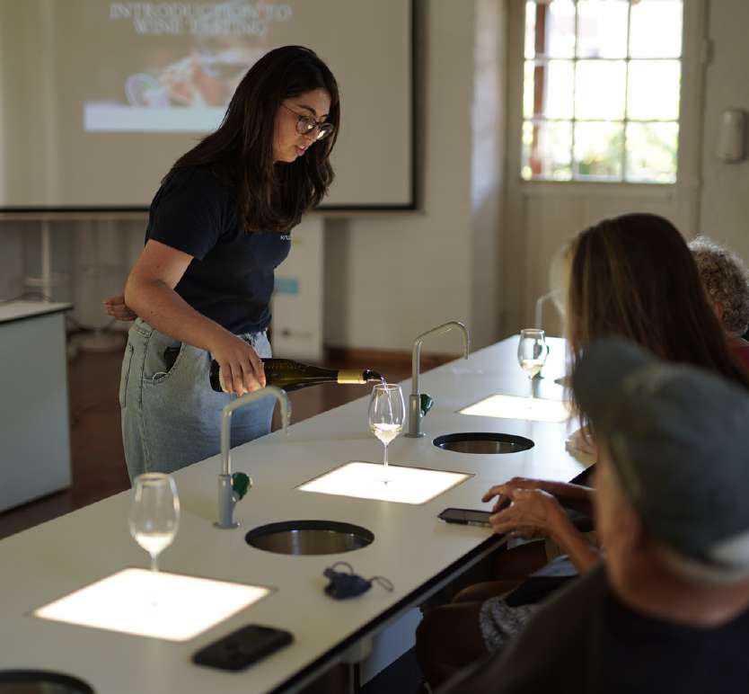 Introdução ao Vinho - Aveleda