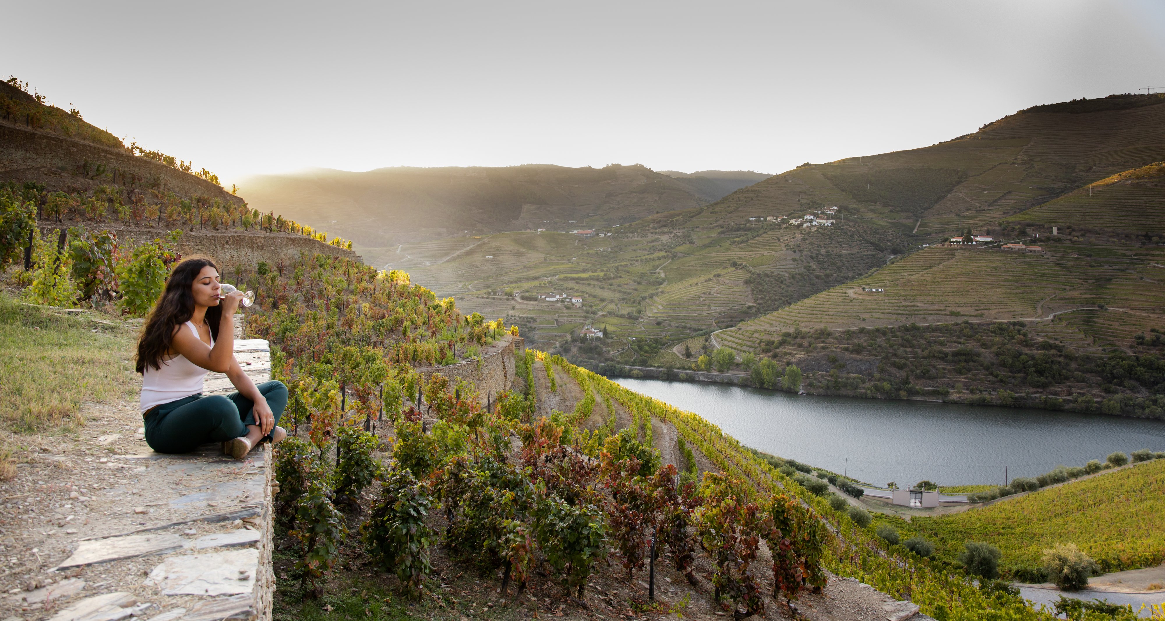Visita Sandeman Vau Vintage - Quinta do Seixo