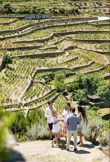 Visita à Vinha - Quinta do Seixo